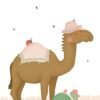 Dromedaris