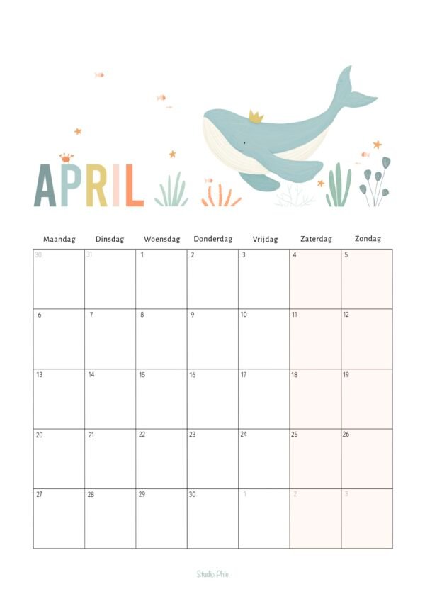 Kalender - 50 x 70 cm