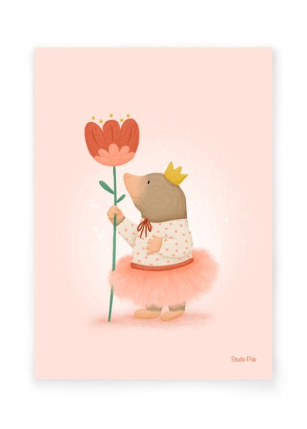 IMG_2244 Ballerina mol