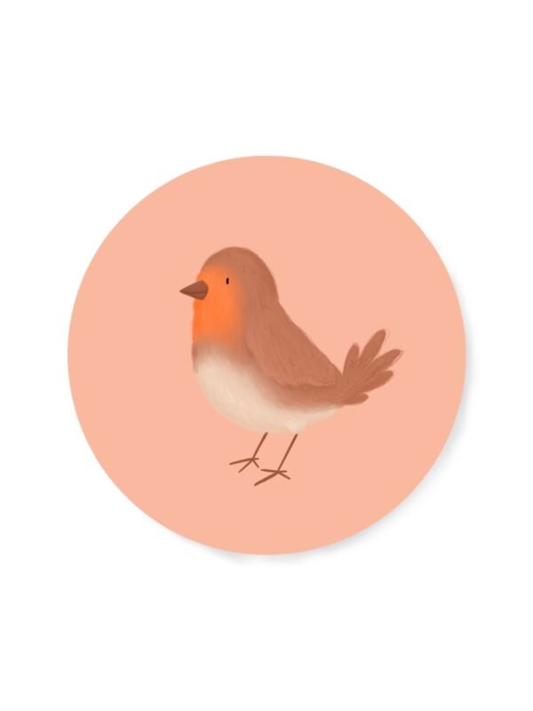 PRE ORDER - sticker ‘roodborstje’