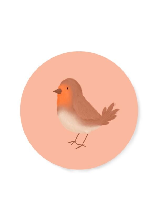 PRE ORDER - sticker ‘roodborstje’